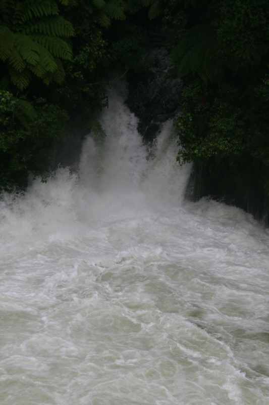 Nieuw-Zeeland 2011 - 0571